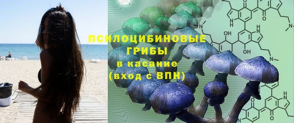 дурь Абаза