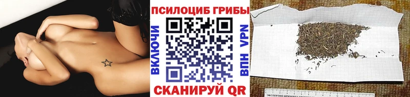 цена   omg ТОР  Псилоцибиновые грибы мухоморы  darknet какой сайт  Нижняя Тура 